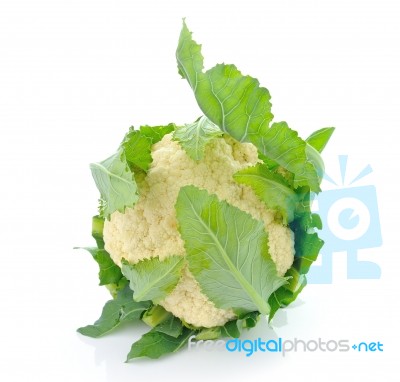 Single Whole Cauliflower Isolated On White Background Stock Photo