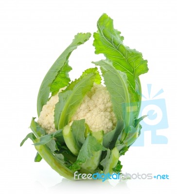 Single Whole Cauliflower Isolated On White Background Stock Photo