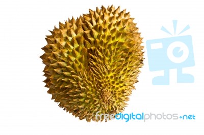 Single Whole Durian Isolated On White Background Stock Photo