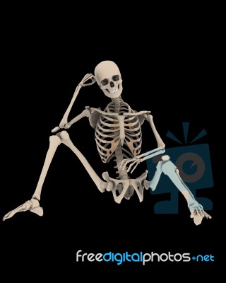 Sitting Skeleton Stock Image