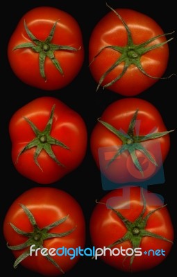 Six Tomatoes Over Black Stock Photo