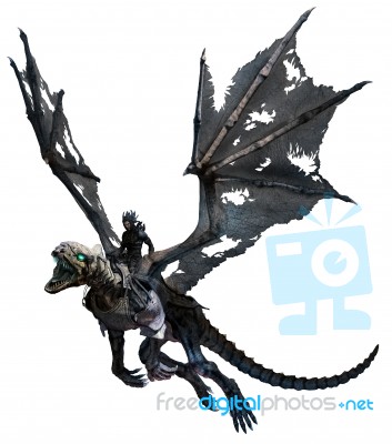 Skeletal Dragon Stock Image