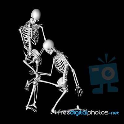 Skeleton Stock Image