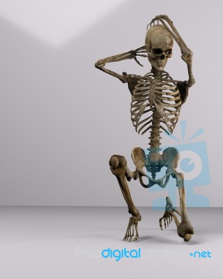 Skeleton Form Stock Image