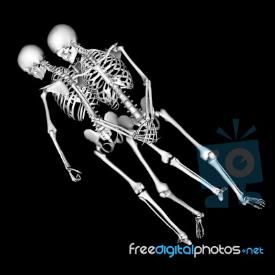 Skeletons Stock Image