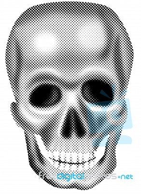 Skull Stock Image