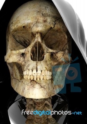 Skull Stock Image