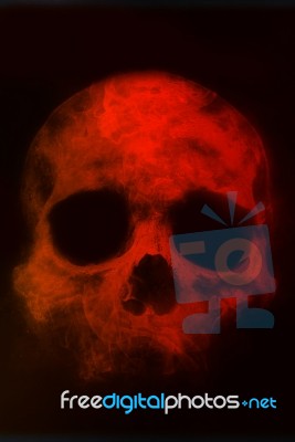 Skull Stock Photo