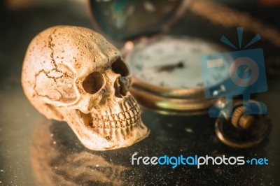 Skull And Old Stopwatch Stock Photo