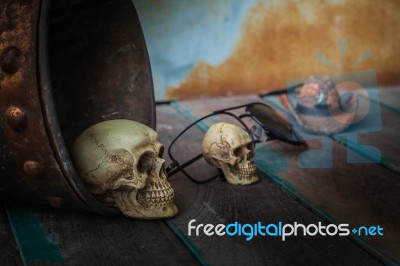 Skull In A Bucket Of Water On Wood Stock Photo