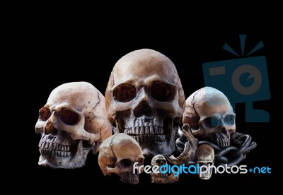 Skull On A Black Background Stock Photo