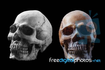 Skull On Black Background Stock Photo