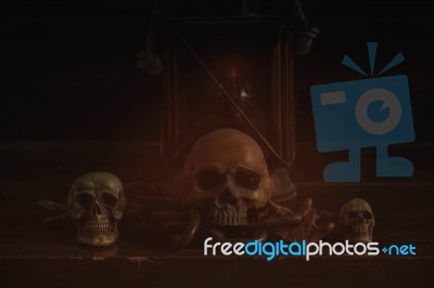 Skull On The Old Wooden Stock Photo