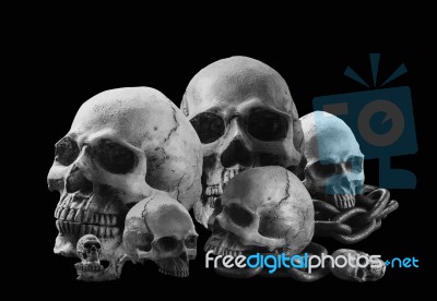 Skull With A Black And White Image Stock Photo