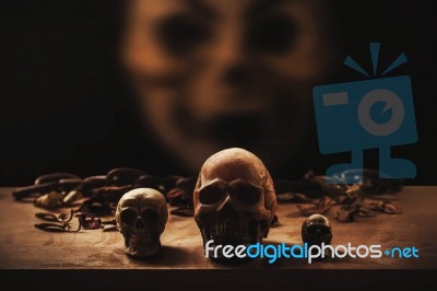 Skull With A Darkness Stock Photo