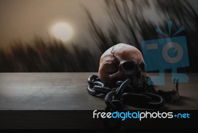 Skull With A Full Moon Stock Photo