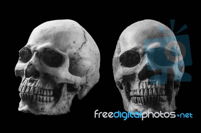 Skull With Black And White Image Stock Photo