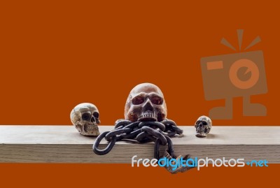 Skull With Orange Background Stock Photo