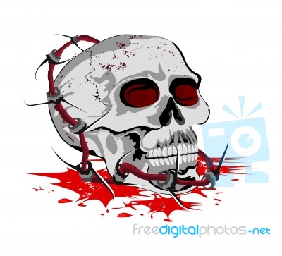 Skull With Steel Barbed Wire Stock Image