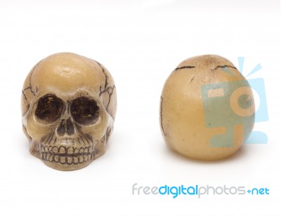 Skulls Stock Photo