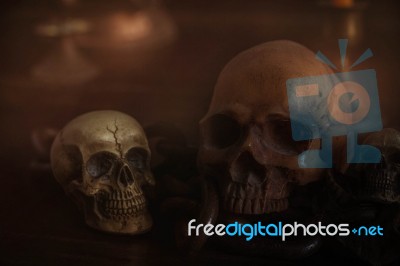 Skulls On The Wooden Floor Stock Photo