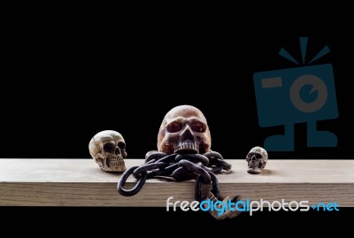 Skulls With A Black Background Stock Photo