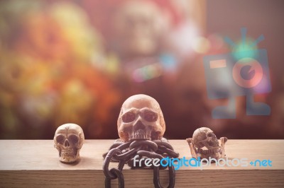 Skulls With A Colorful Background Stock Photo