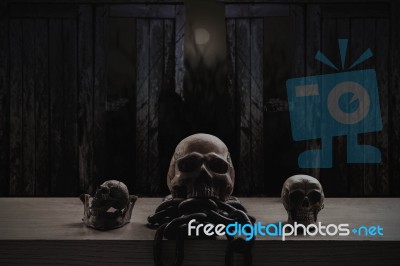 Skulls With A Dark At Night Stock Photo