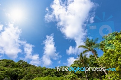 Sky Over Similan Islands In Thailand Stock Photo