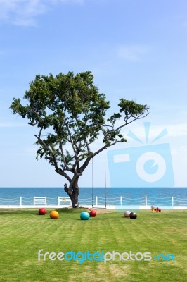 Sky Sea Park And The Tree Stock Photo