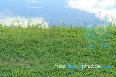 Sky Water Grass Stock Photo