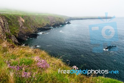 Slea Head In Dingle Peninsula Stock Photo