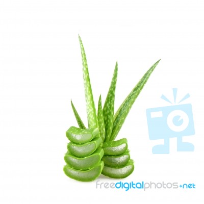 Slice Aloe Vera On White Background Stock Photo