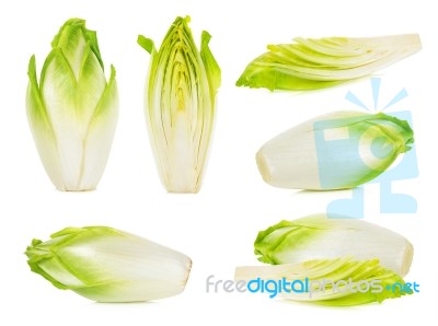 Slice Chicory Isolated Stock Photo