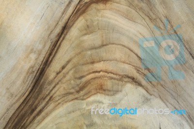 Slice Of Wood Timber Texture Stock Photo