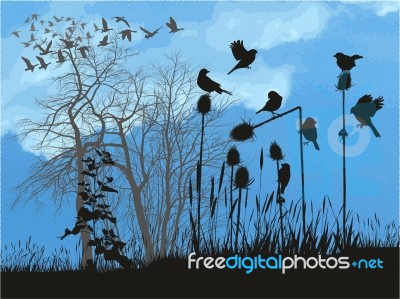 Small Birds On Thistles, In The Background Flying Geese Stock Image