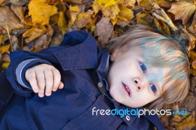 Small Blond Boy With Blue Eyes Lays On Bed Of Autumn Fallen Leav… Stock Photo