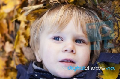 Small Blond Boy With Blue Eyes Lays On Bed Of Autumn Fallen Leav… Stock Photo