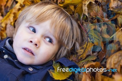 Small Blond Boy With Blue Eyes Lays On Bed Of Autumn Fallen Leav… Stock Photo