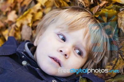 Small Blond Boy With Blue Eyes Lays On Bed Of Autumn Fallen Leav… Stock Photo