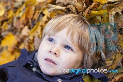 Small Blond Boy With Blue Eyes Lays On Bed Of Autumn Fallen Leav… Stock Photo