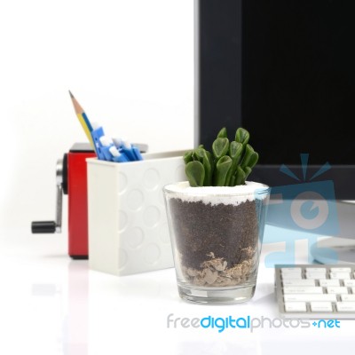 Small Cactus On Office Deak Stock Photo