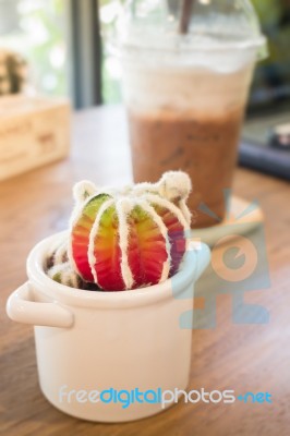 Small Cactus Pot On Wooden Table Stock Photo