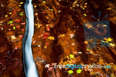 Small Creek With Fall Color Stock Photo