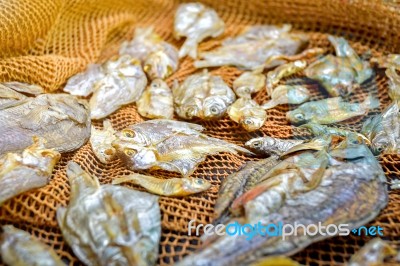 Small Dry Fish From The Sun On The Net Stock Photo