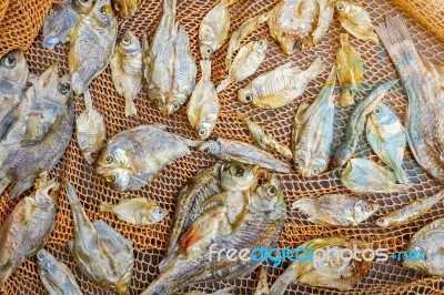 Small Dry Fish From The Sun On The Net Stock Photo