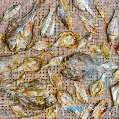 Small Dry Fish From The Sun On The Net Stock Photo