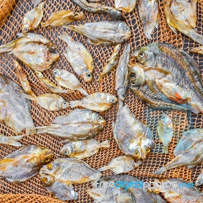 Small Dry Fish From The Sun On The Net Stock Photo