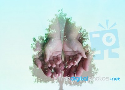 Small Hand On Big Hand Combined With A Big Tree Stock Photo