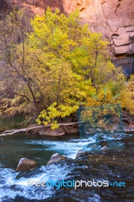 Small Rapids On The Virgin River Stock Photo